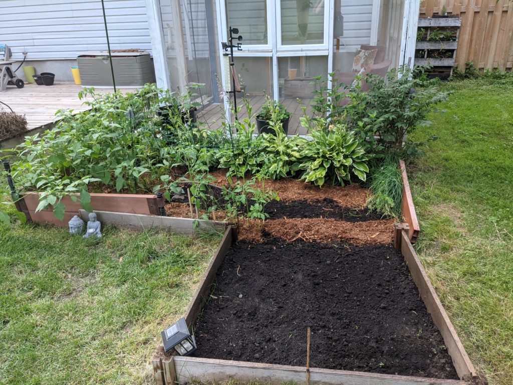 The same L-shaped bed after clean up. There is dark black soil in the clear areas, and cedar mulch lining the plants. 